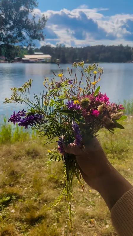 memories from the future