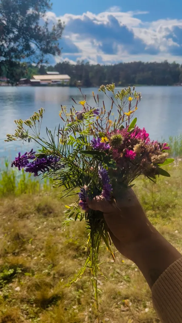 memories from the future