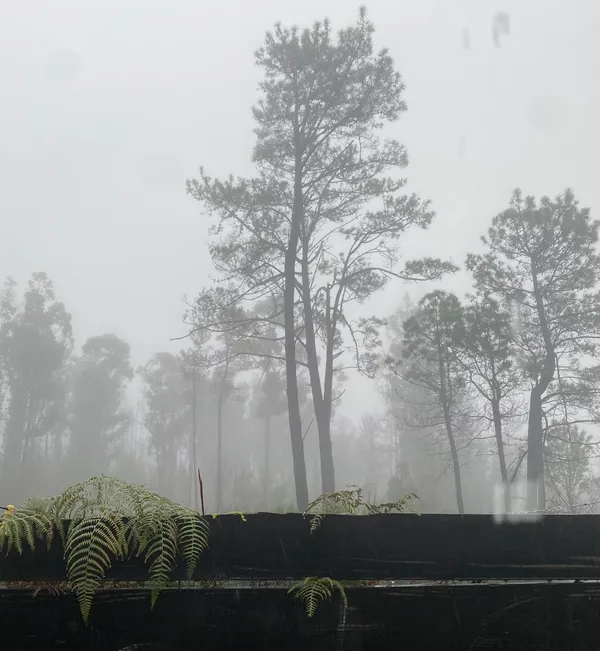 An Unexpected Arrival