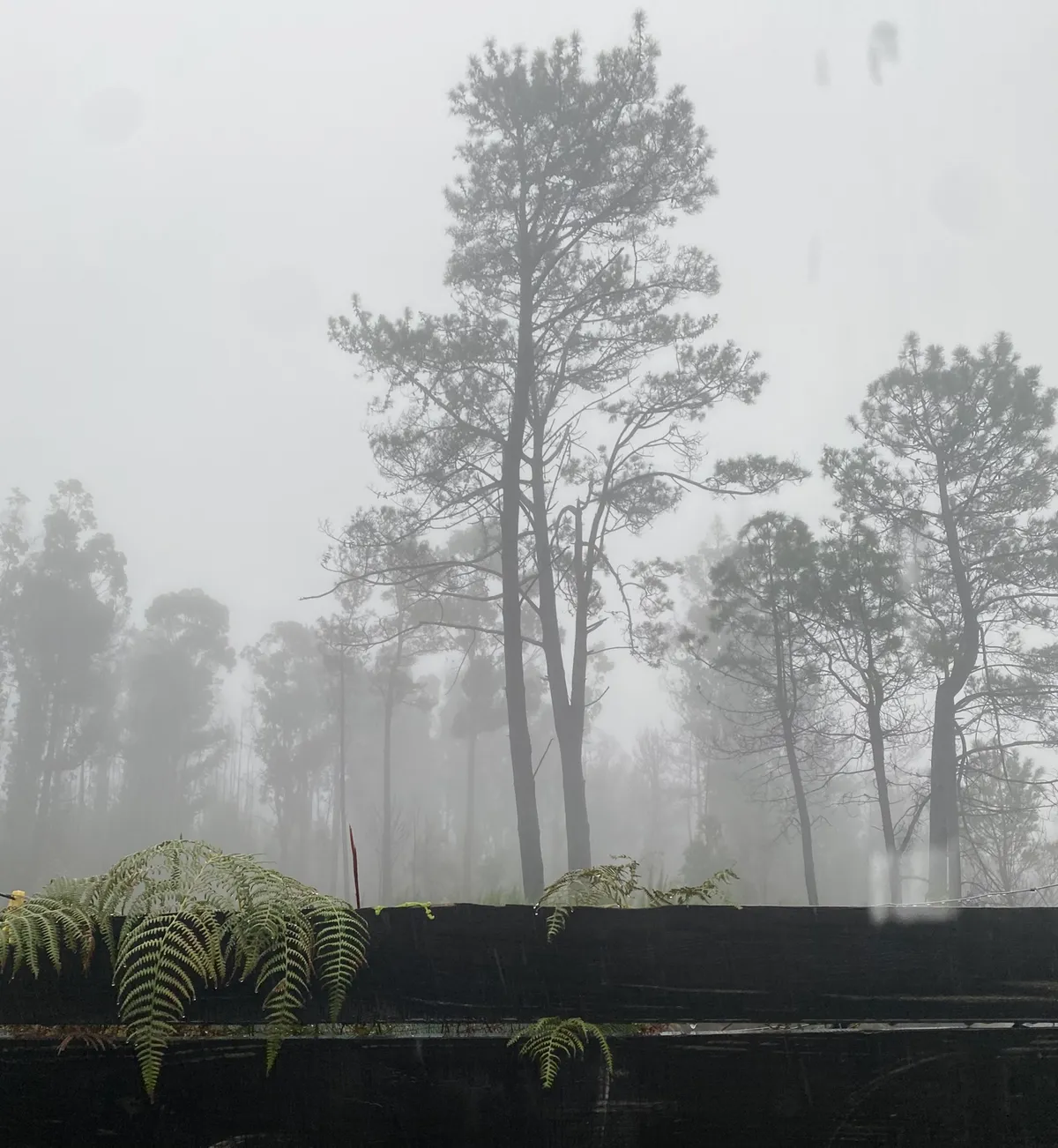 An Unexpected Arrival