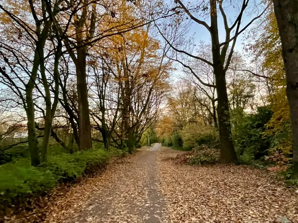 Monthly Review - November 2025