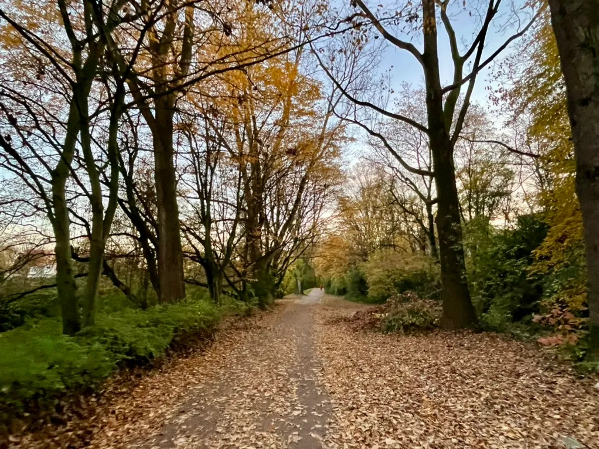 Monthly Review - November 2025