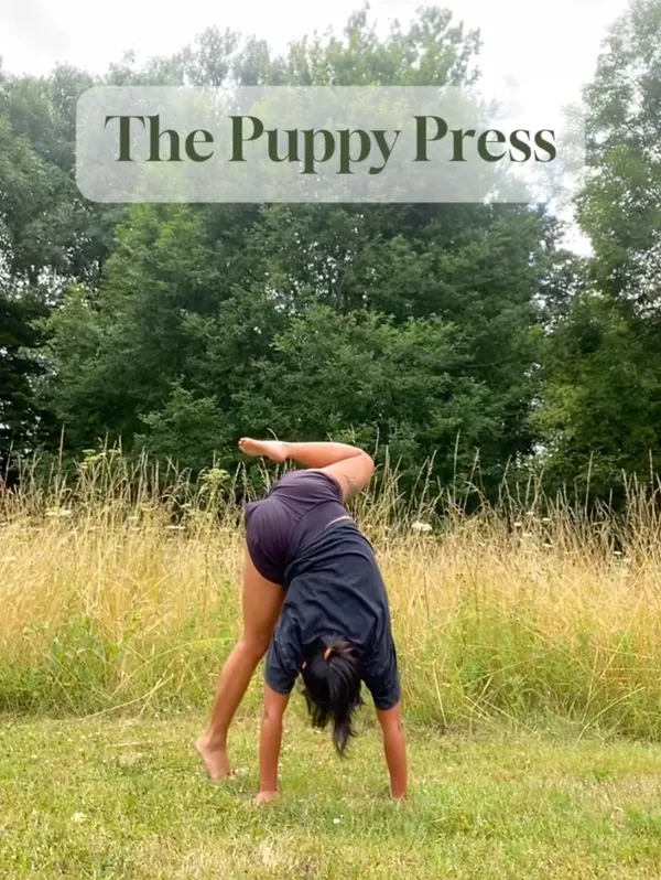 I made a new Handstand Reel cover image