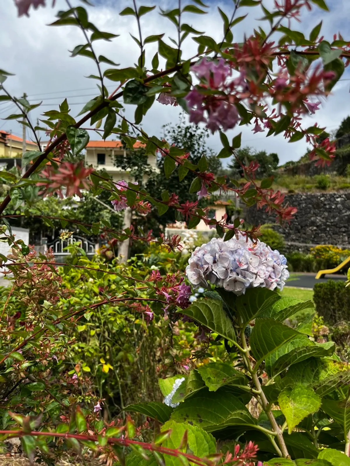 I Met my Mum's Higher Self in my Dream