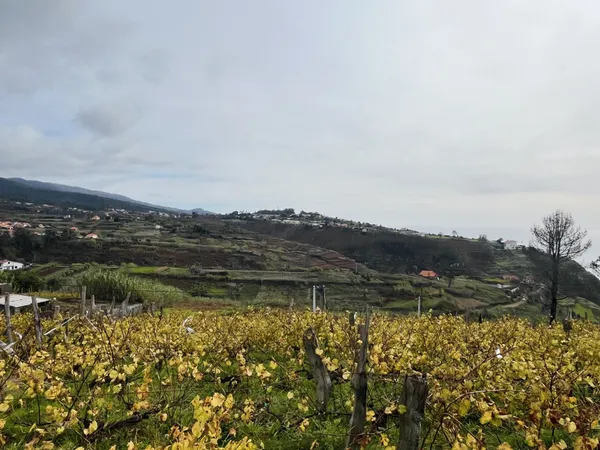 An Illuminating Morning