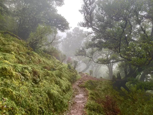 visiting the ancient ones