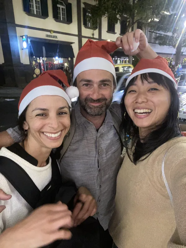 funchal xmas festa cover image