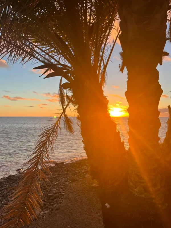 Golden Hour Pleasures cover image