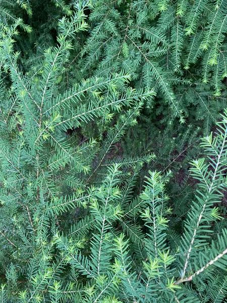 Cyclical living - Thoughts on an Unnatural Modern Life