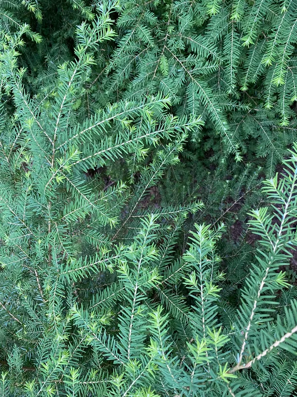 Cyclical living - Thoughts on an Unnatural Modern Life cover image