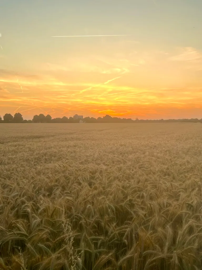 Summer Solstice 2025: Recalibration