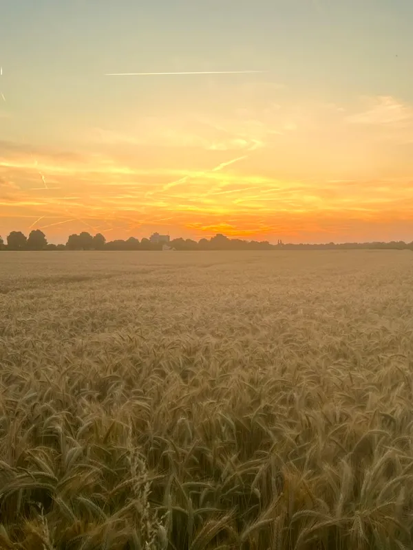 Summer Solstice 2025: Recalibration