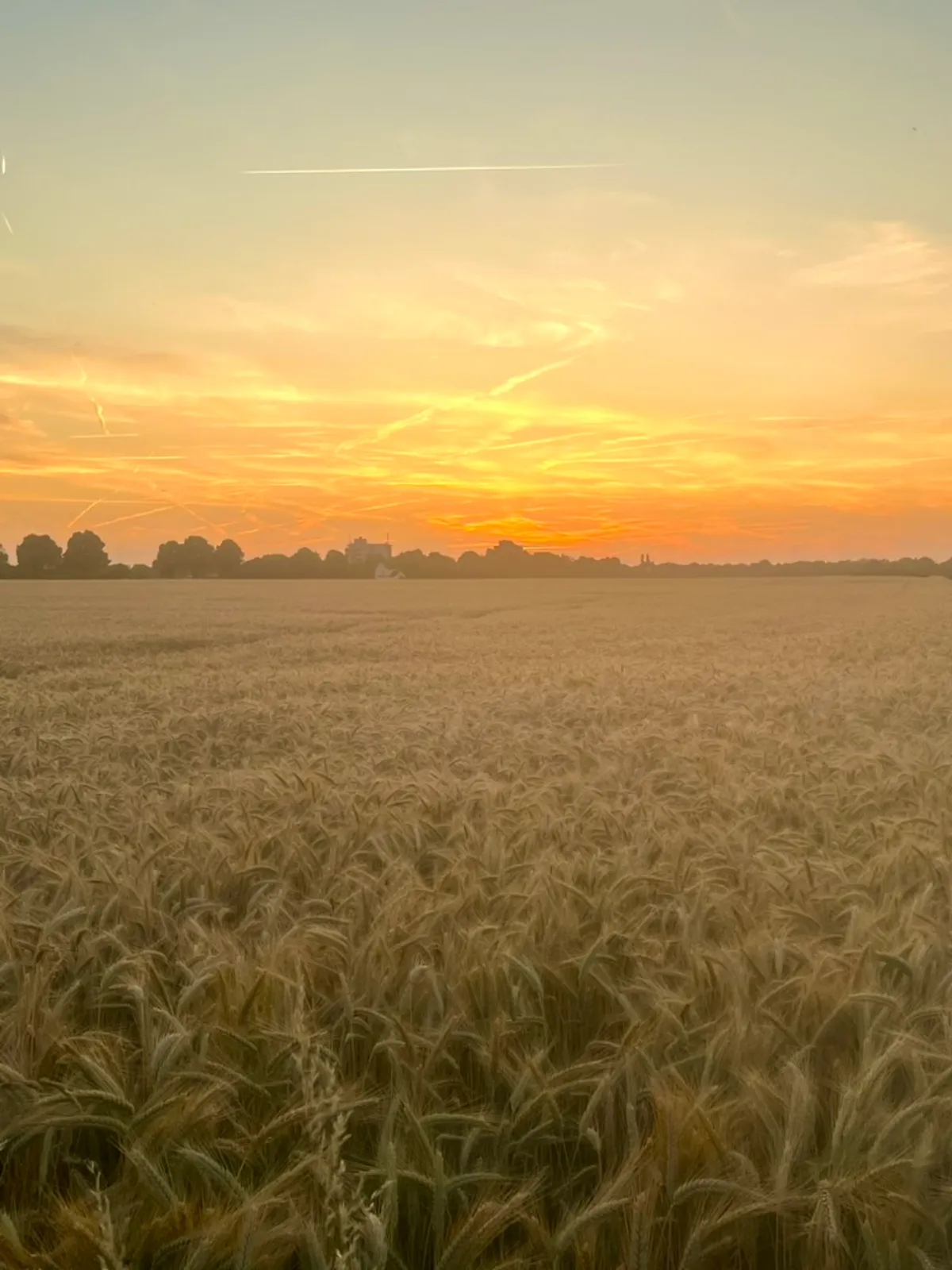 Summer Solstice 2025: Recalibration