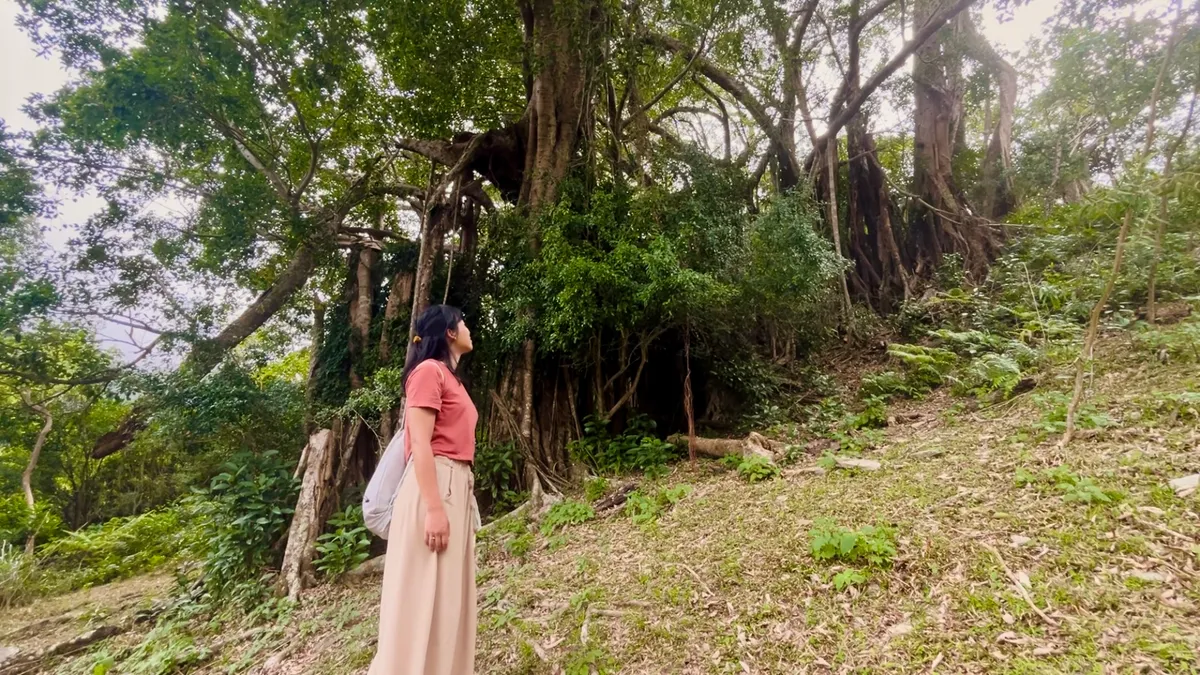Bathing in the Magic of Jhihben Forest Recreation Area