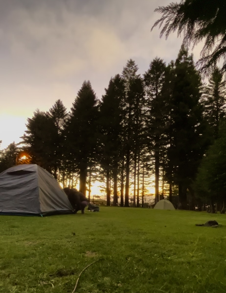 madeira bispo do fonte camping