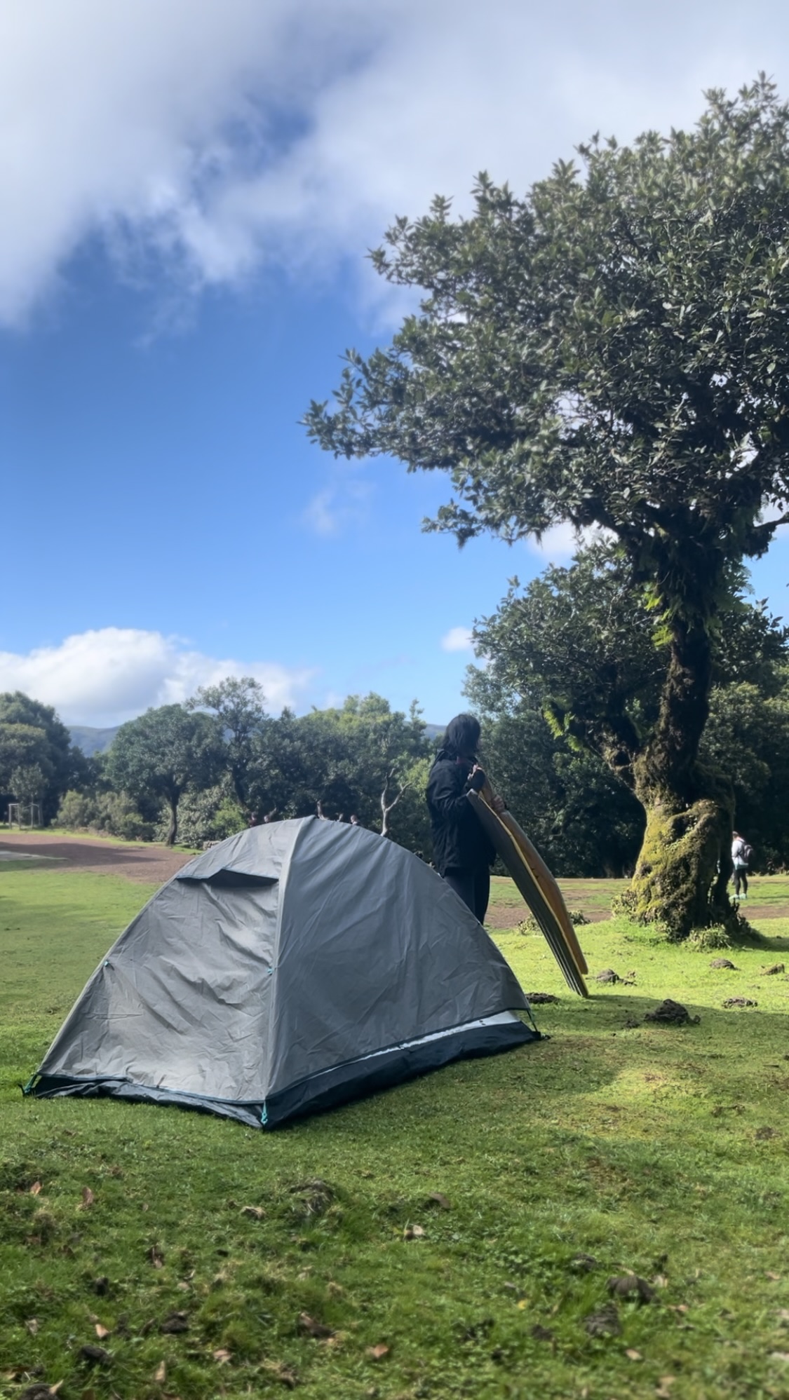 madeira fanal forest camping