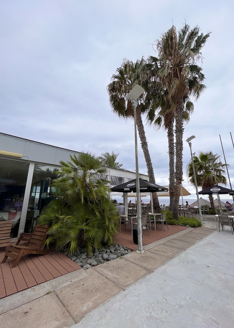 madeira ribeira brava beach 1