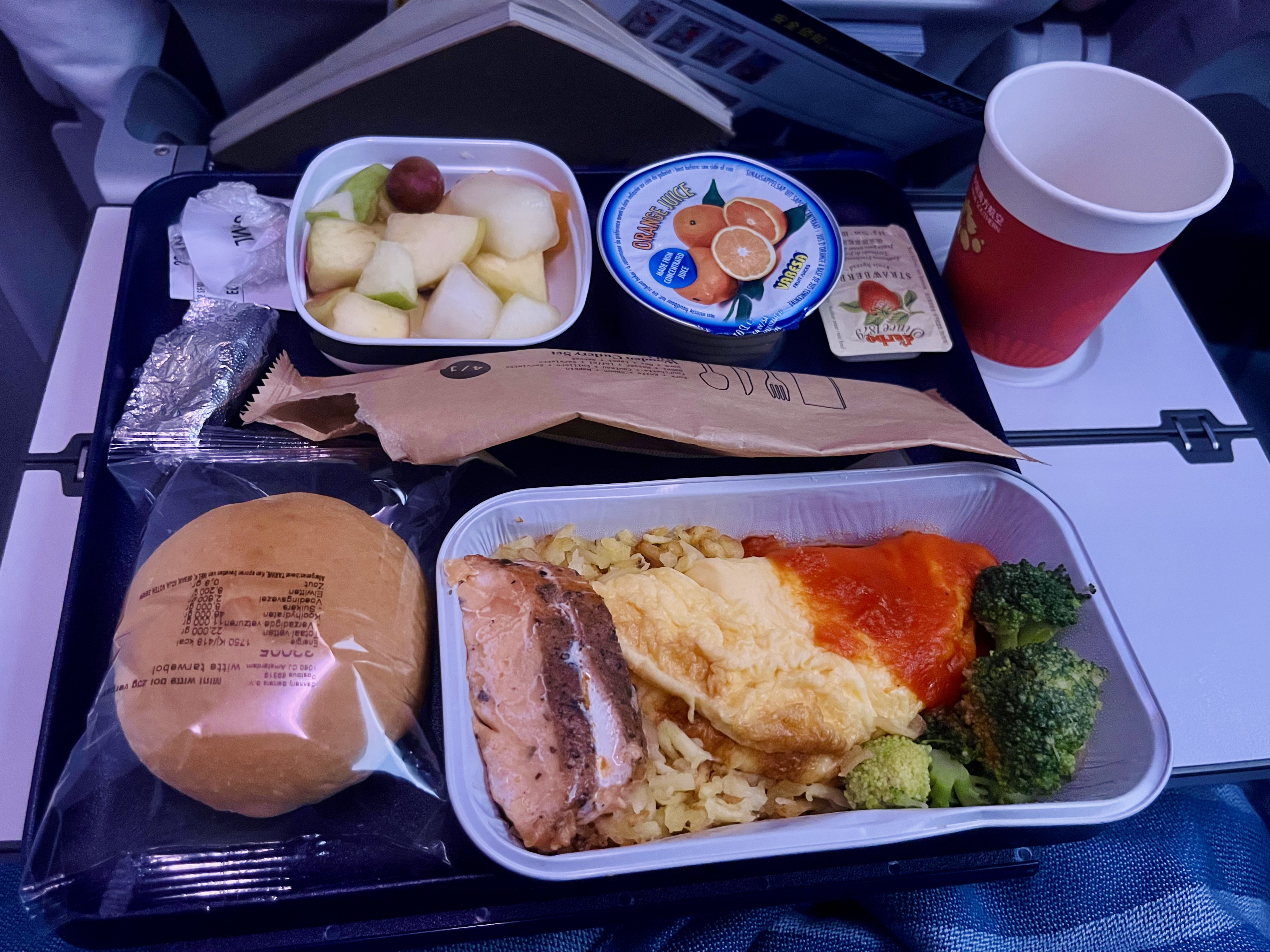 plane germany china food