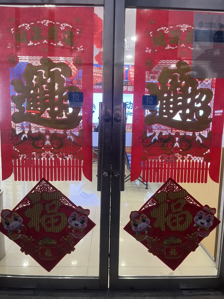 tianjin lunar new year decoration