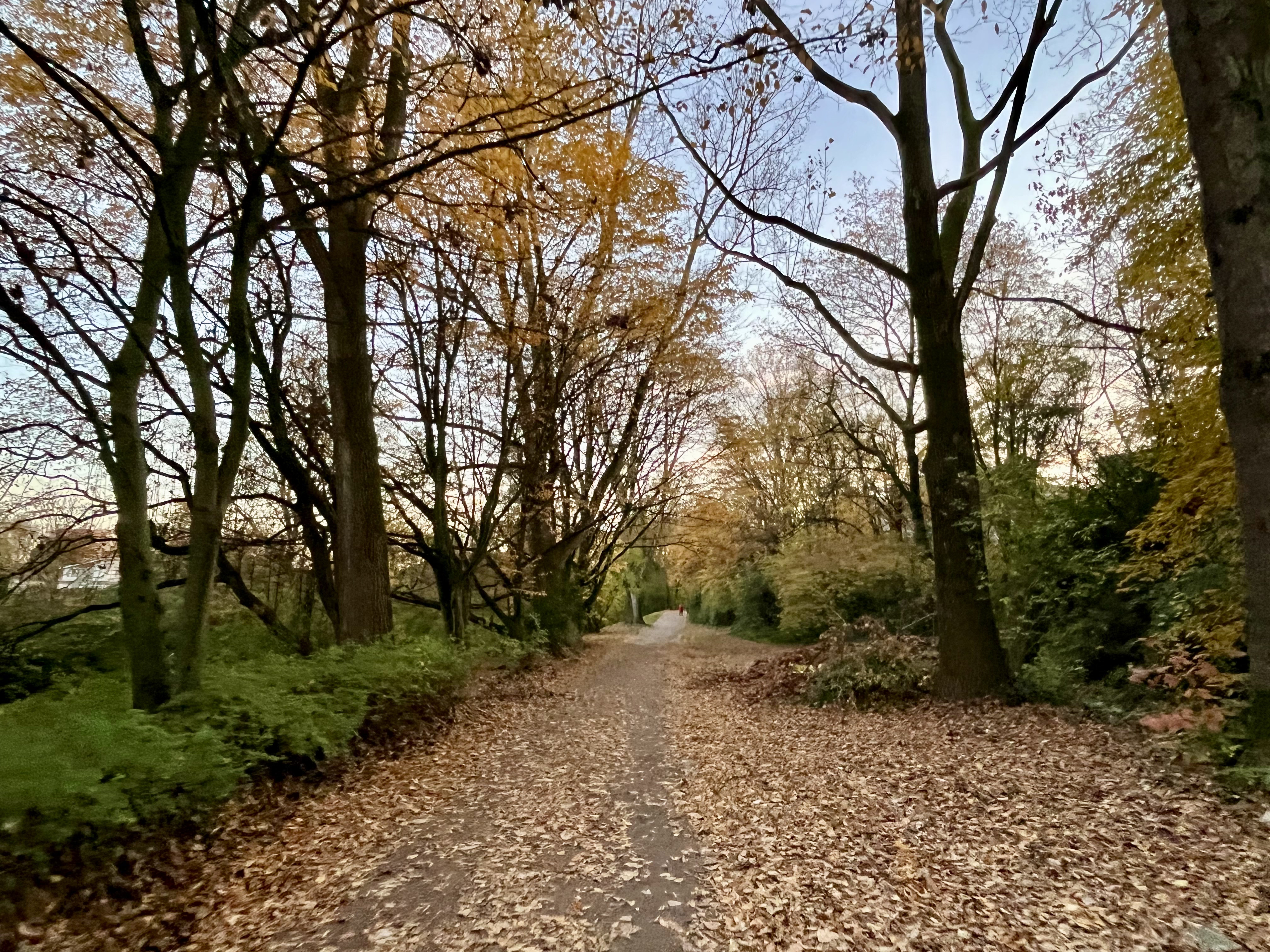 germany autumn orange trip