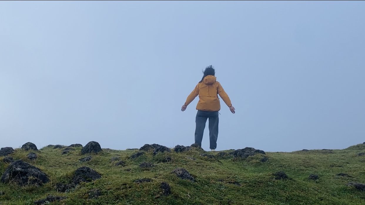 madeira fanal forest