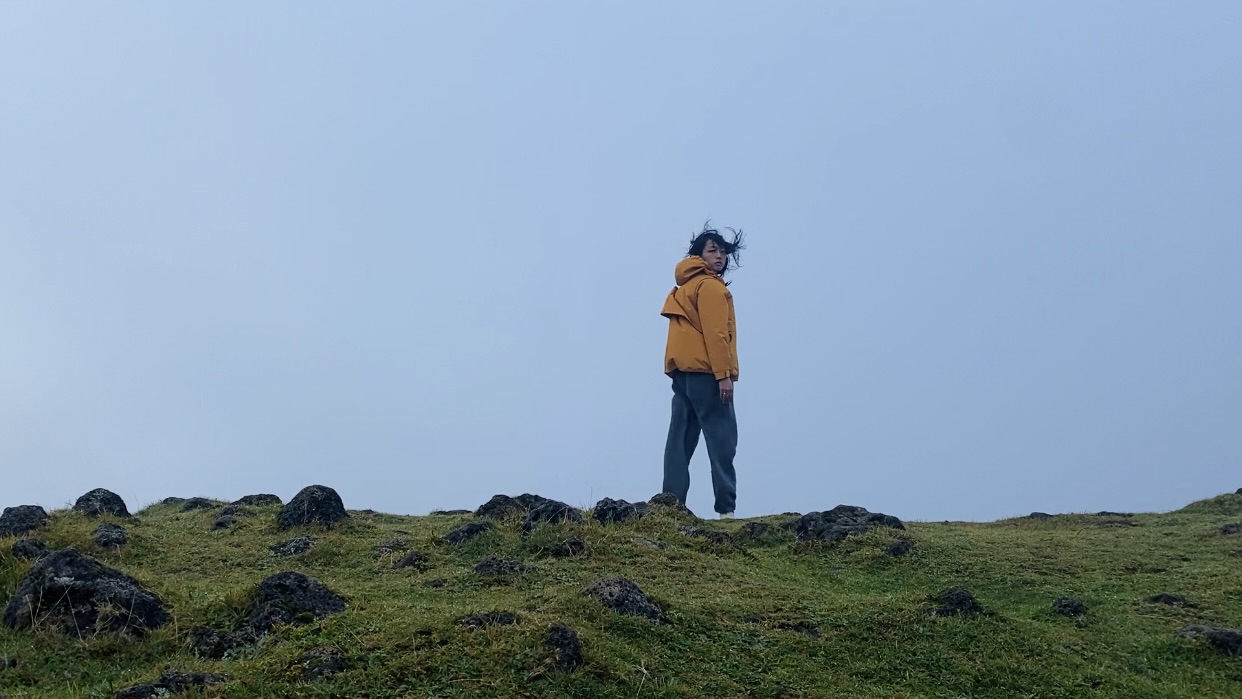 madeira fanal forest