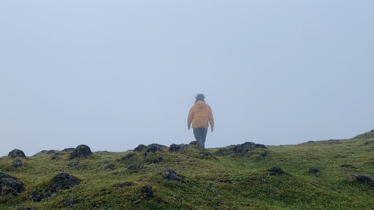 madeira fanal forest