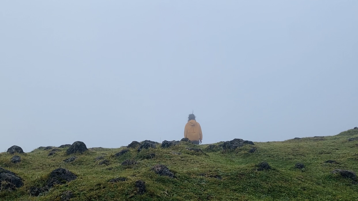 madeira fanal forest