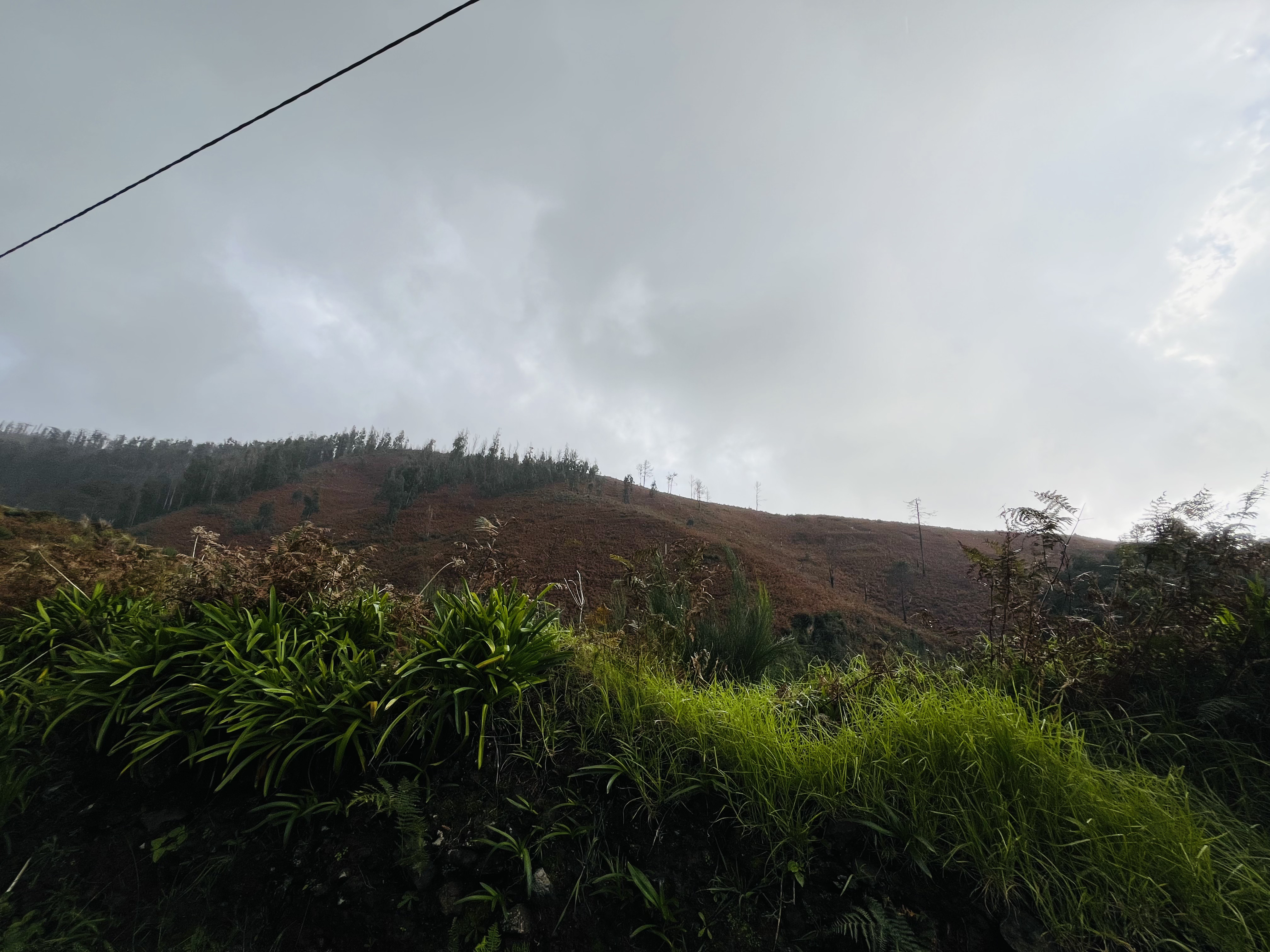 madeira roadtrip west