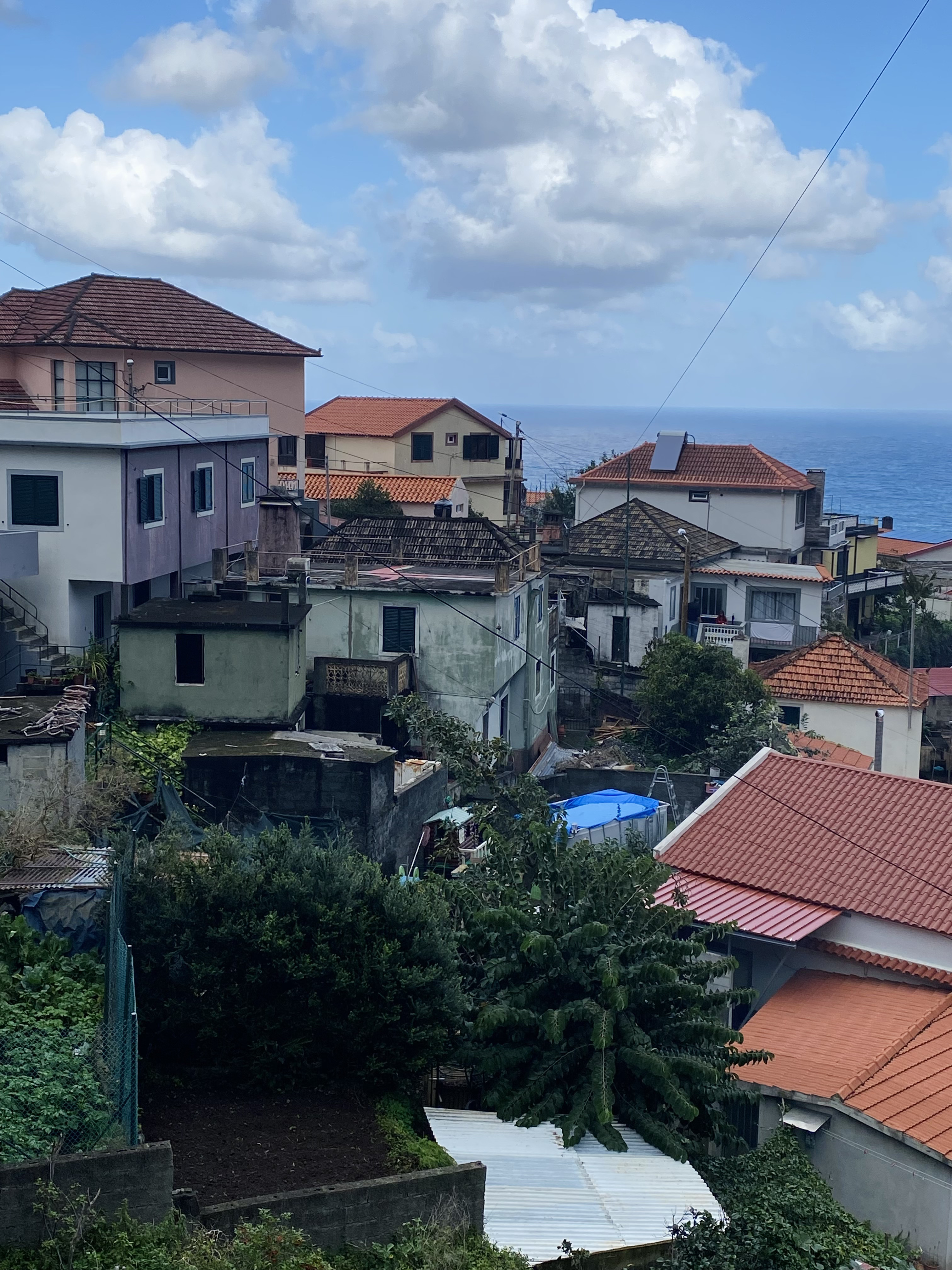 madeira seixal walk 1