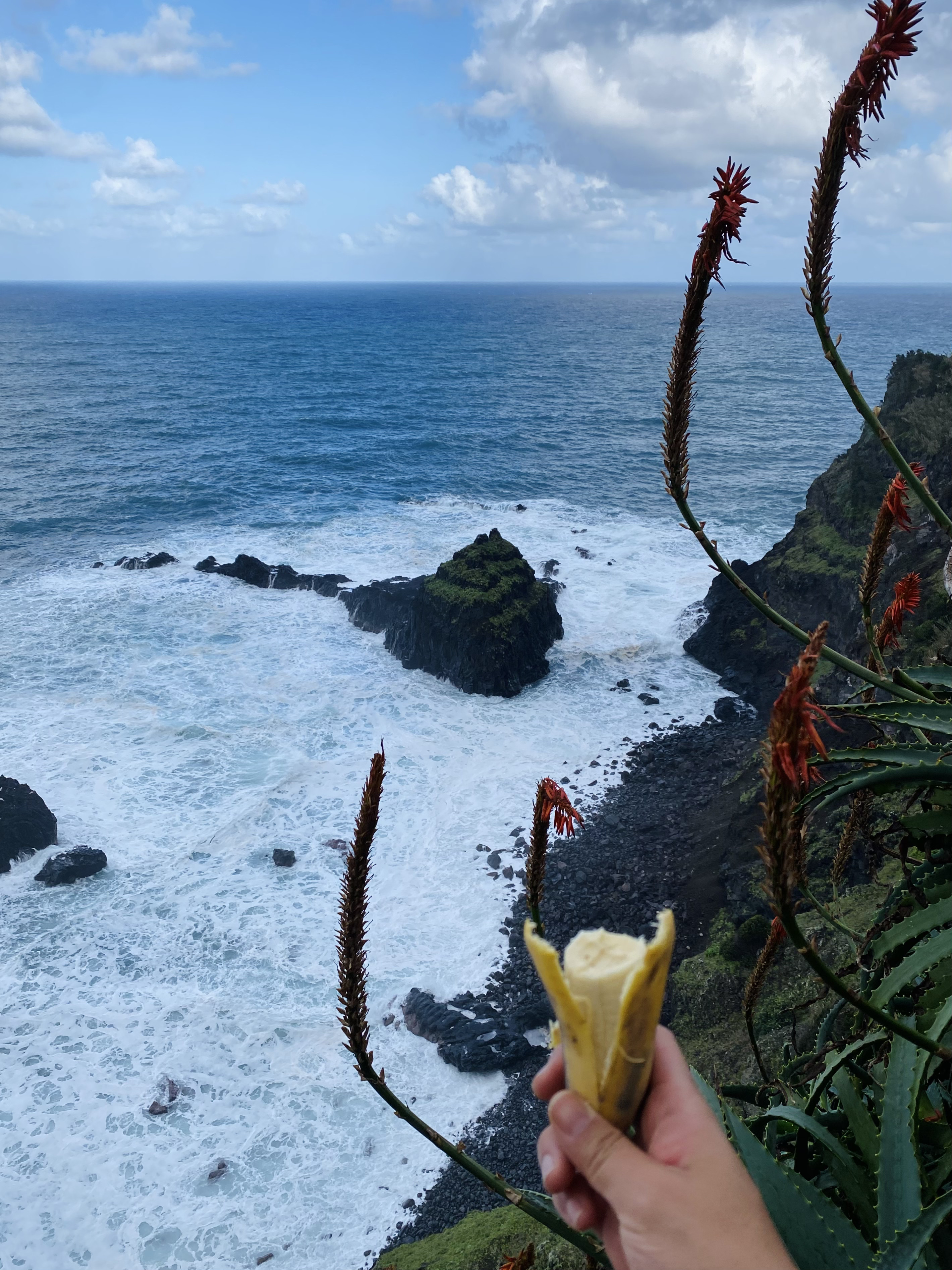 madeira seixal walk 4
