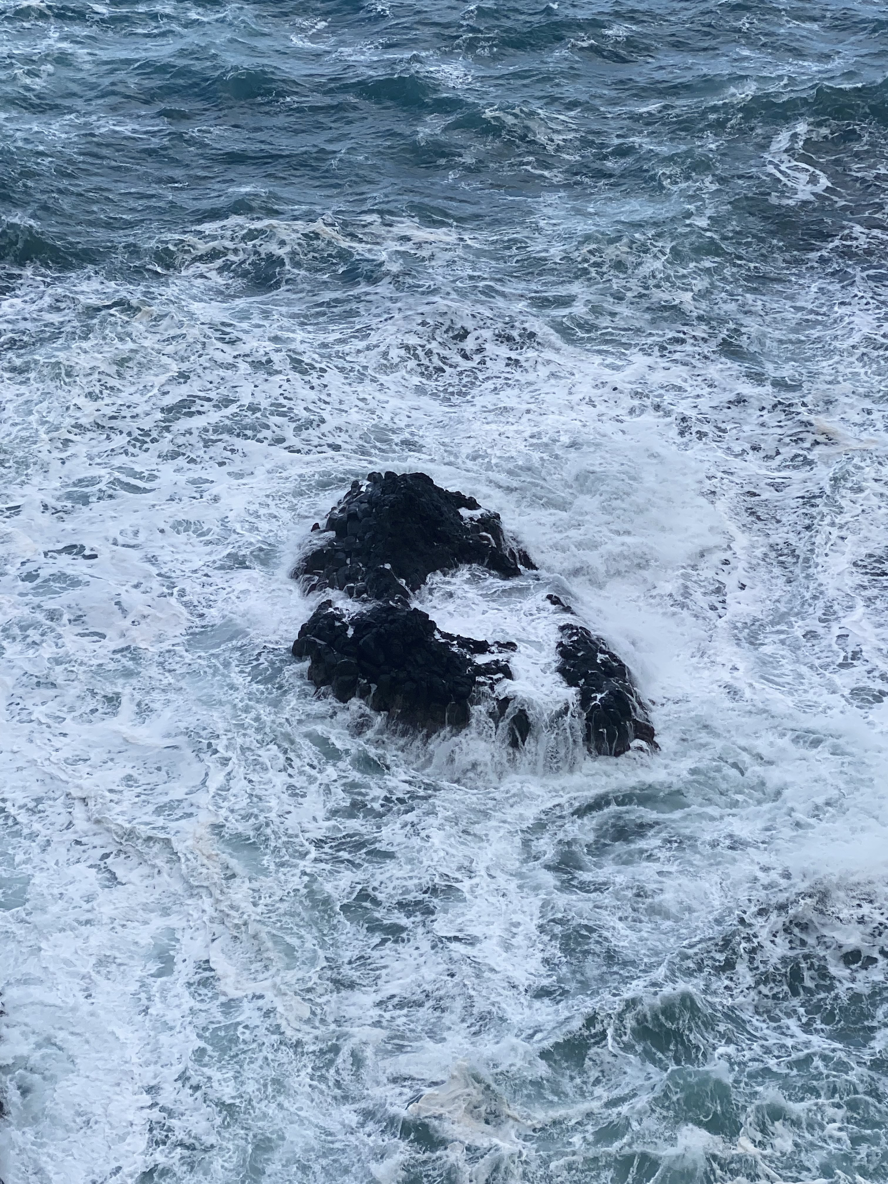 madeira seixal walk 7