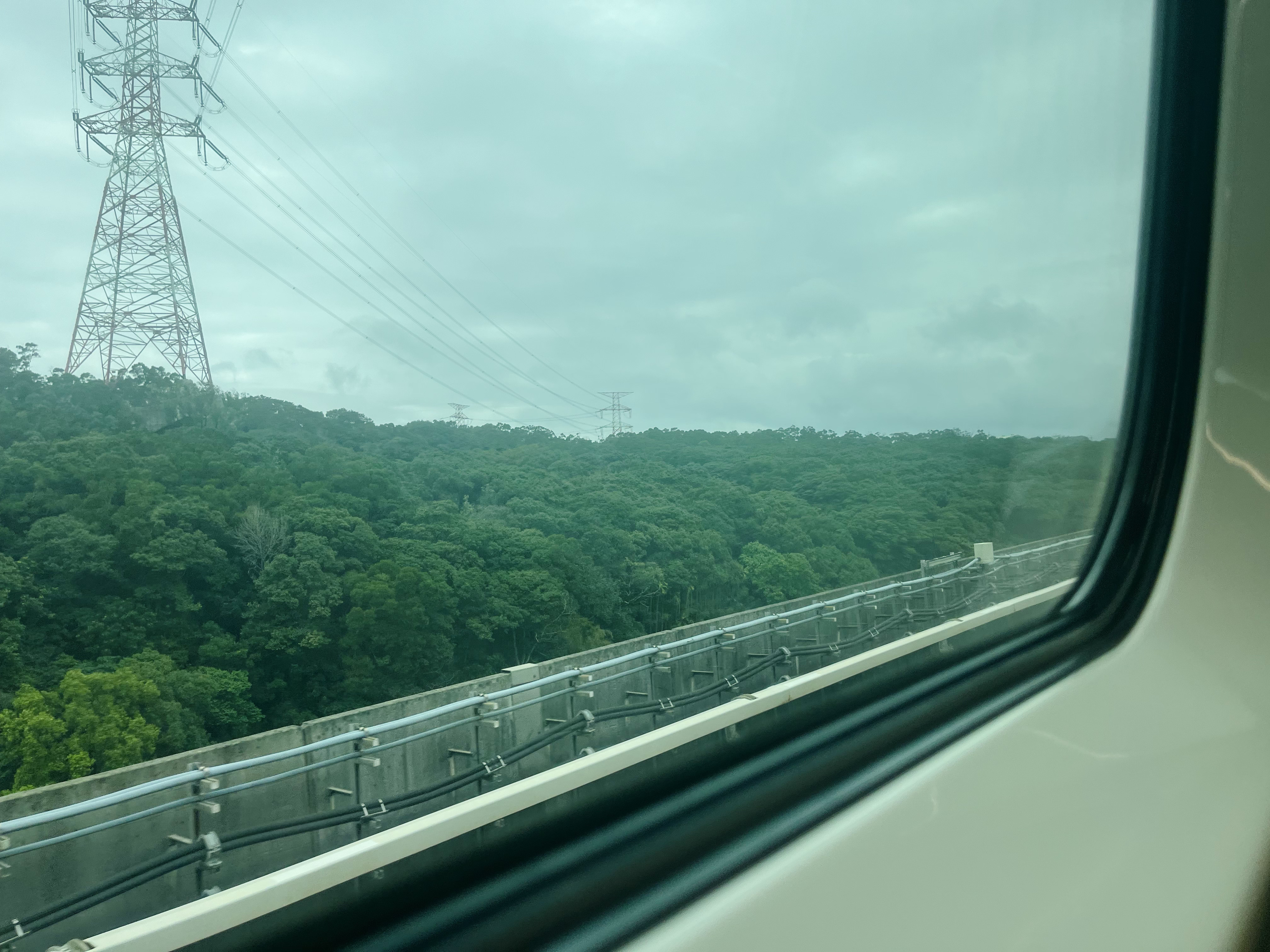 taipei express train forest view