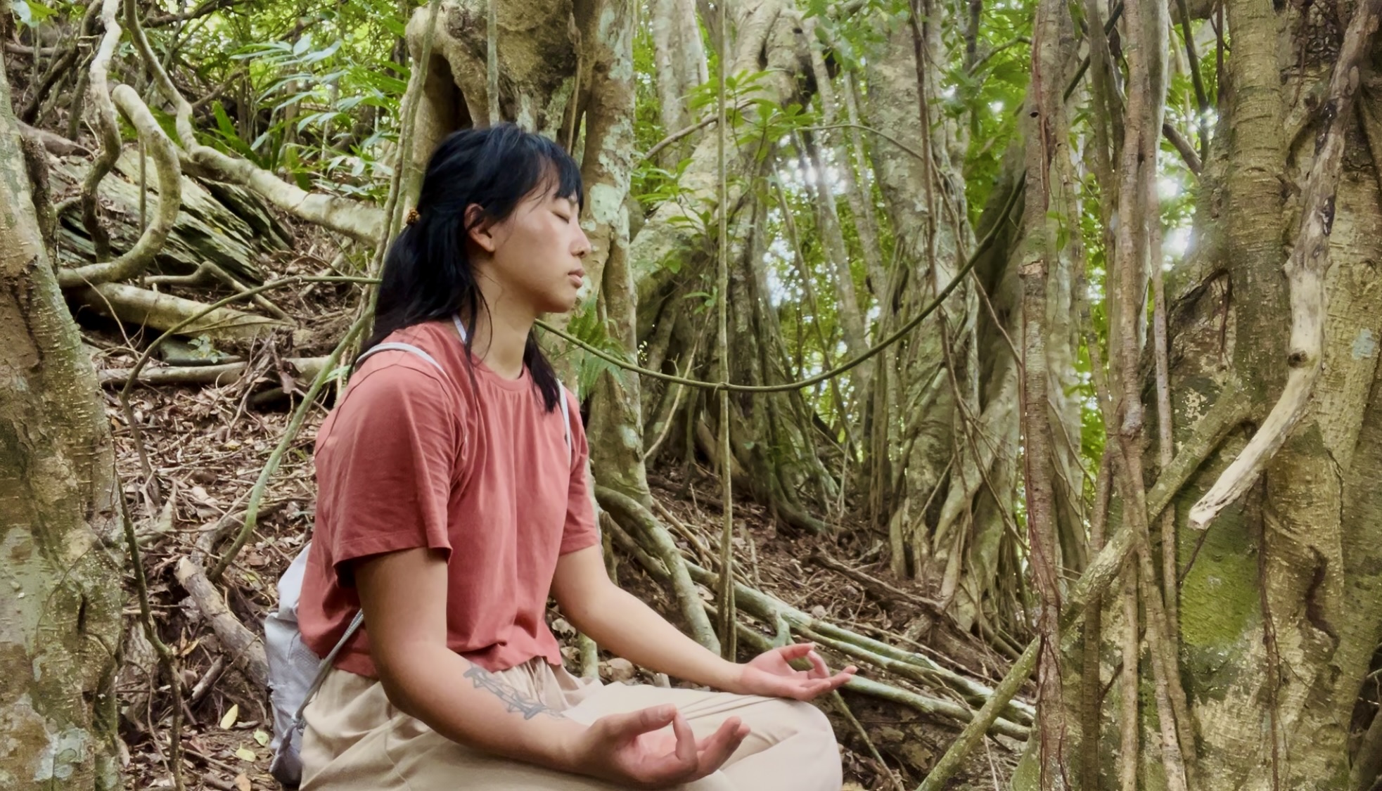 taiwan jhihben forest banjan tree 3