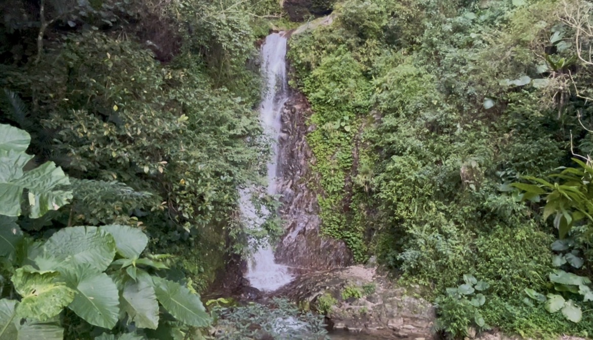 taiwan zuocang trail view