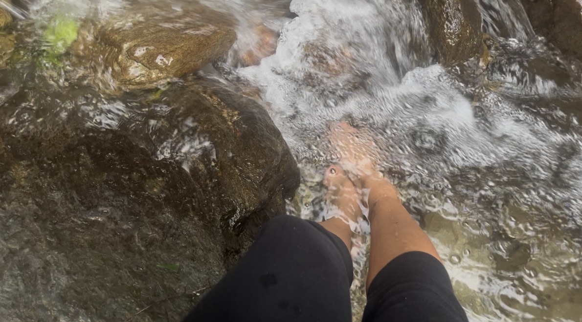 taiwan zuocang trail view