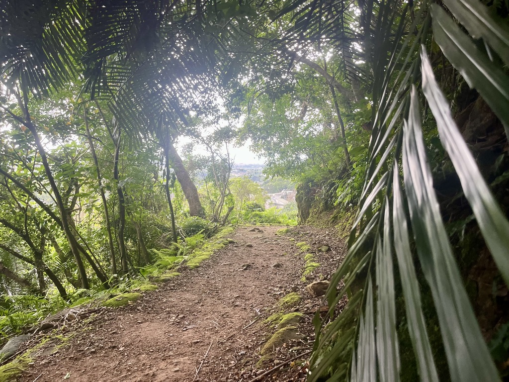 taiwan zuocang trail view
