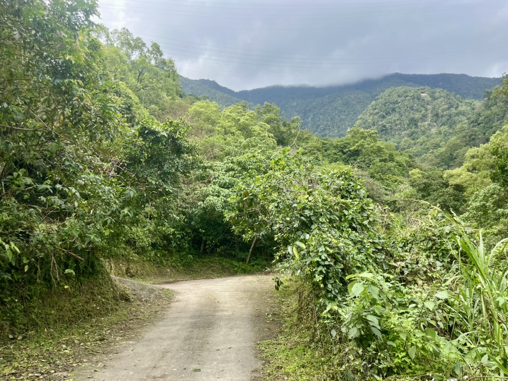 taiwan zuocang trail 4