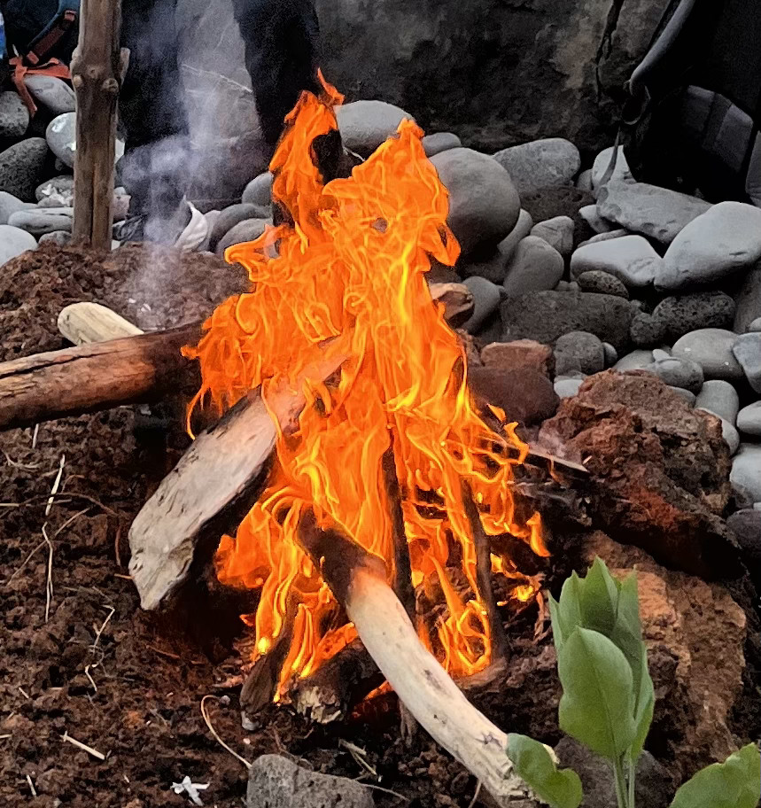 collage fire