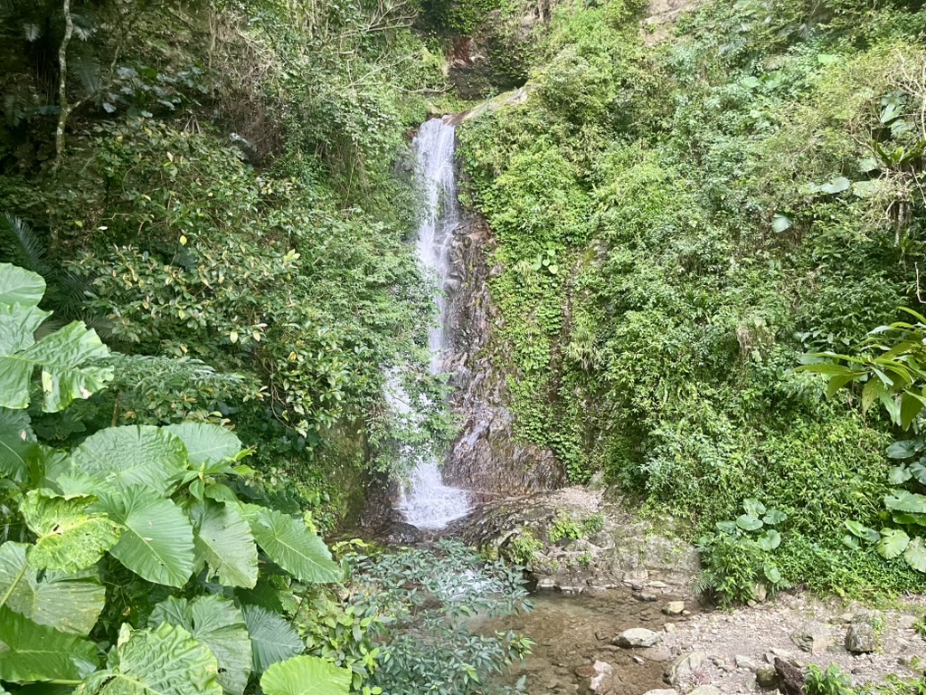 thumbnail ocean rituals